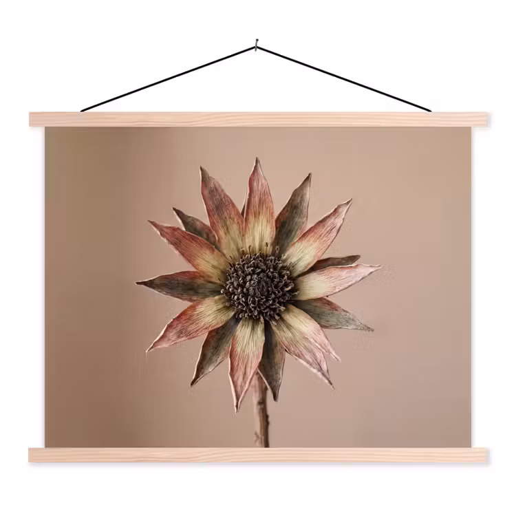 Schoolplaat - Droogbloem - Protea - Vintage - Beige - Rustiek