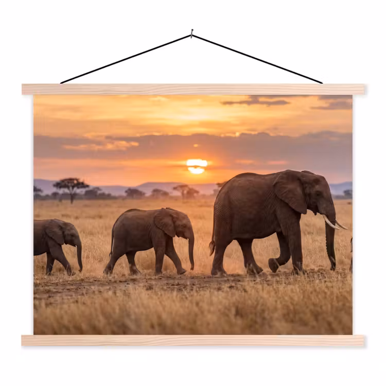 Schoolplaat - Olifanten - Savanne - Zonsondergang - Afrika - Warm