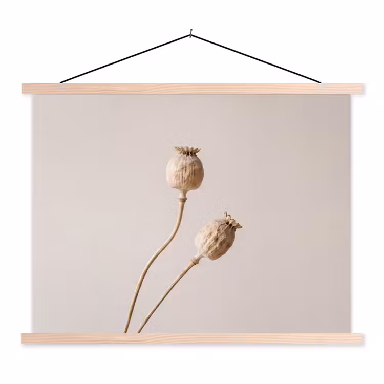 Schoolplaat - Papaverbollen - Droogbloemen - Minimalistisch - Beige - Rustig