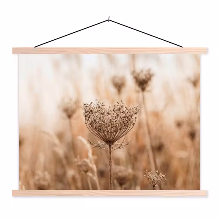Schoolplaat - Schermbloem - Droogbloem - Winter - Beige - Minimalistisch