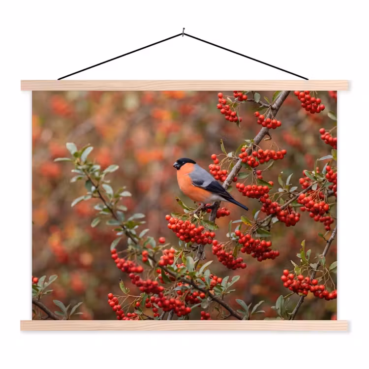 Schoolplaat - Goudvink - Bessen - Herfst - Natuur - Kleurrijk