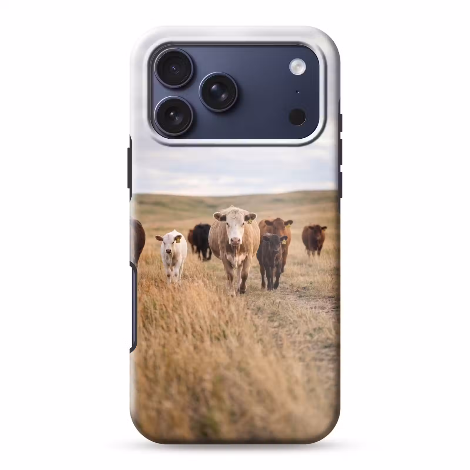 Telefoonhoesje Toughcase - Runderen - Kudde - Landschap - Weide - Rustig — 1