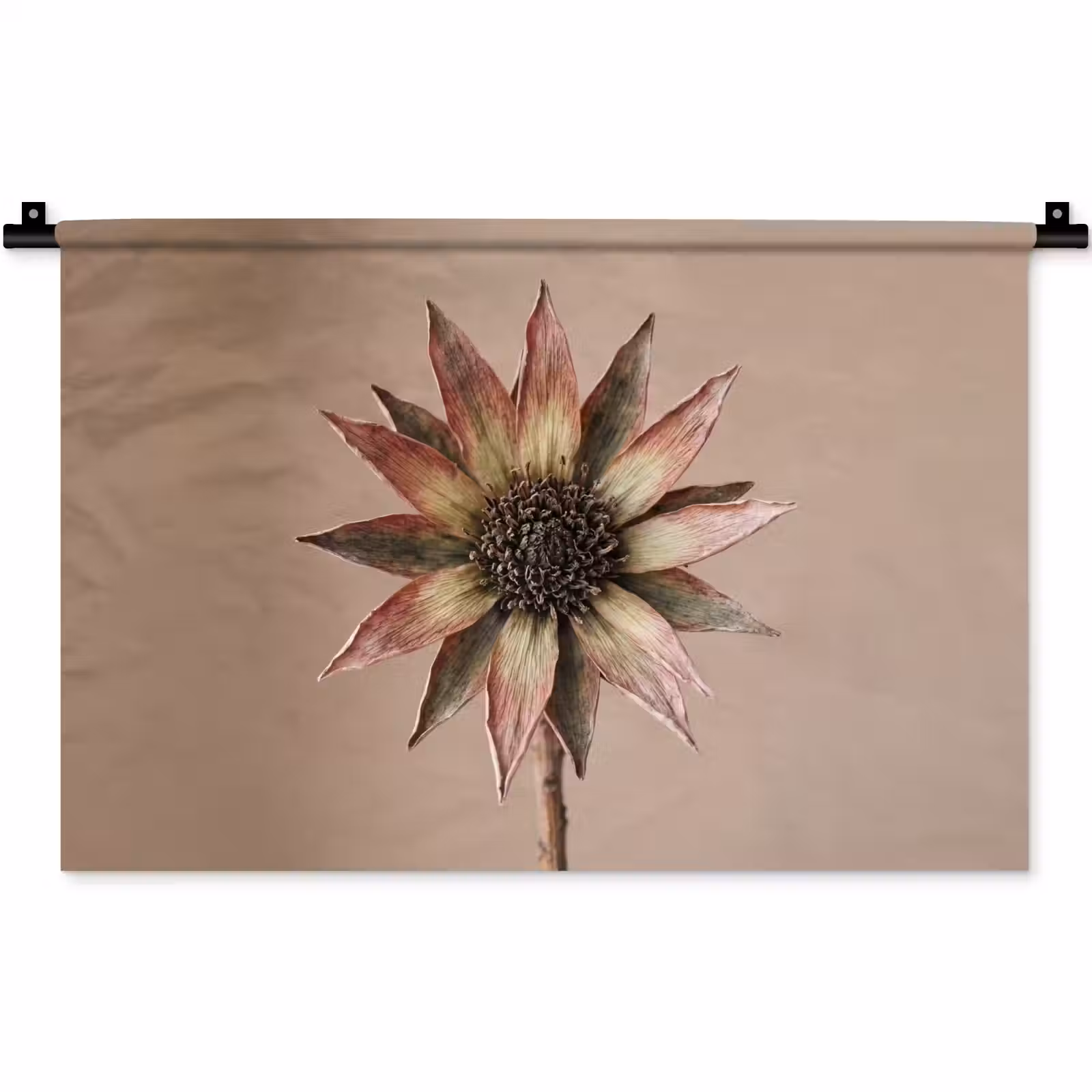 Wandkleed - Droogbloem - Protea - Vintage - Beige - Rustiek — 1