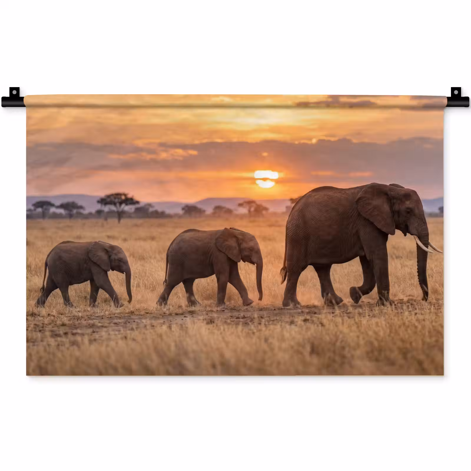 Wandkleed - Olifanten - Savanne - Zonsondergang - Afrika - Warm — 1