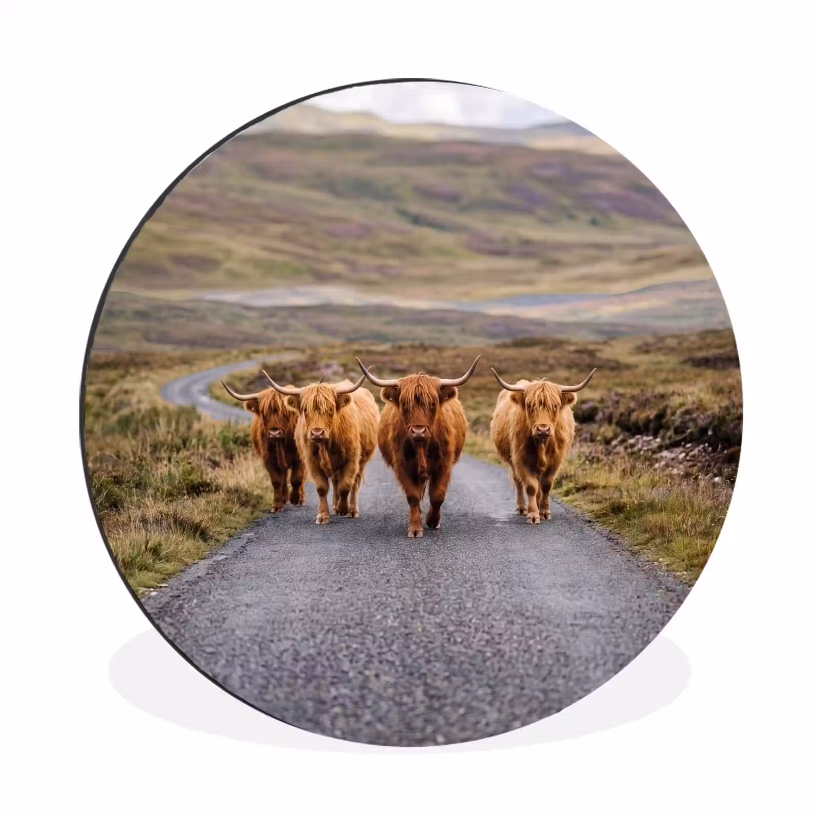 Wandcirkel - Aluminium - Schotse Hooglanders - Weg - Landschap - Kudde — 1