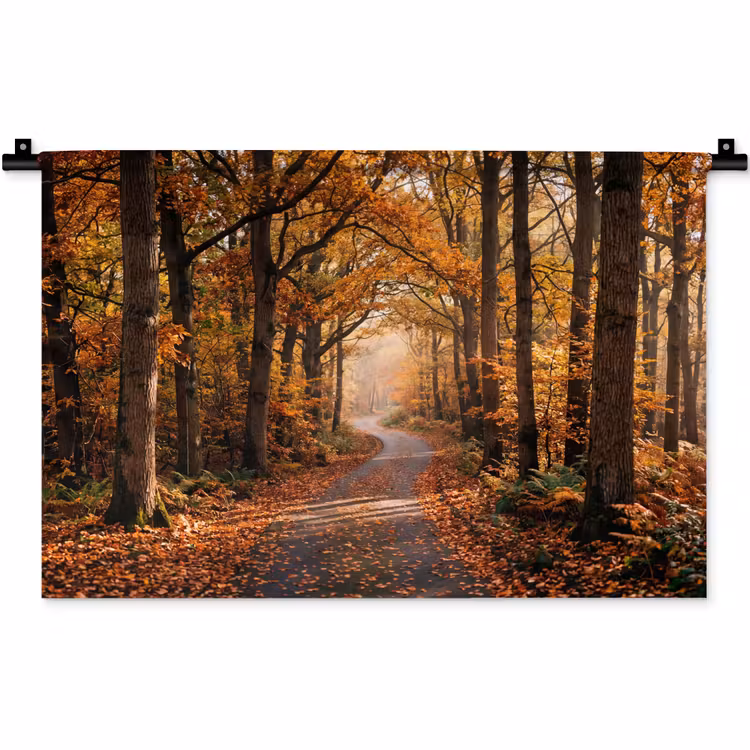 Wandkleed - Bospad - Herfstbos - Bladeren - Oranje - Nostalgisch