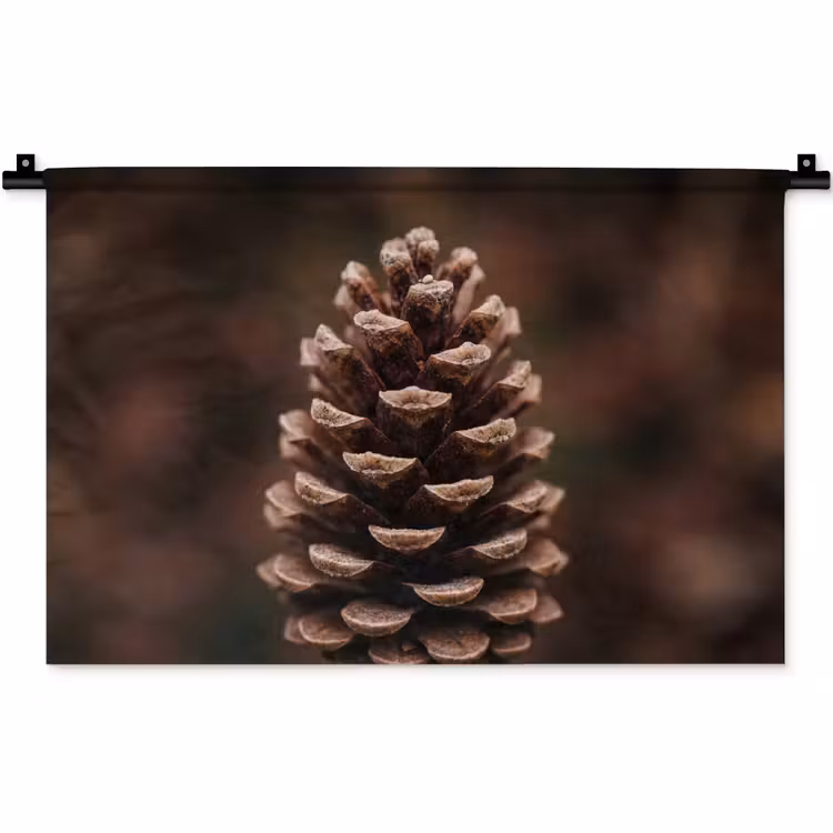 Wandkleed - Dennenappel - Bos - Herfst - Bruin - Sfeervol