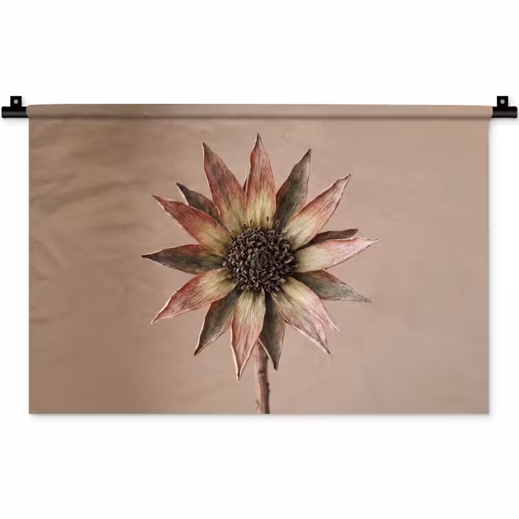 Wandkleed - Droogbloem - Protea - Vintage - Beige - Rustiek