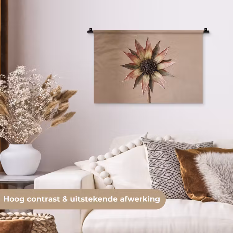 Wandkleed - Droogbloem - Protea - Vintage - Beige - Rustiek — 4