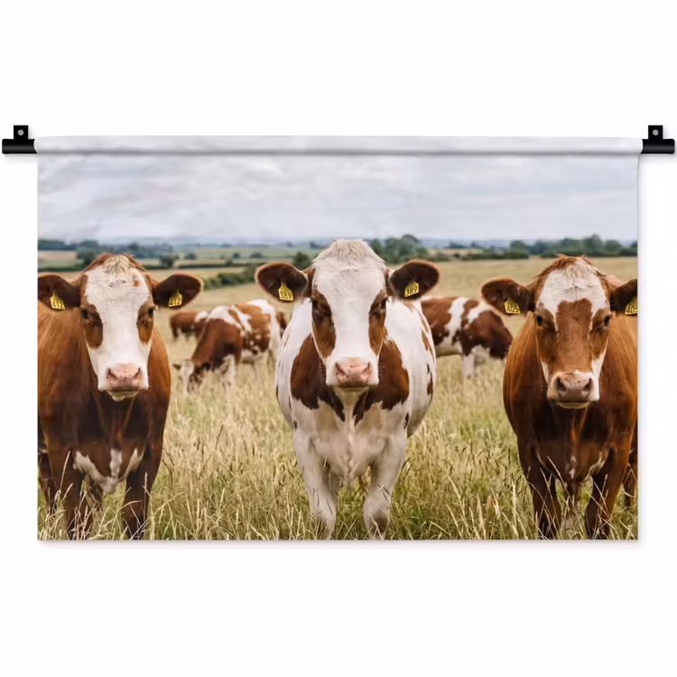Wandkleed - Koeien - Portret - Weide - Boerderij - Nieuwsgierig