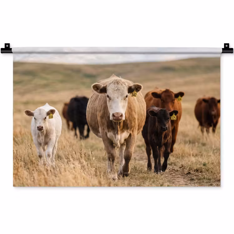 Wandkleed - Runderen - Kudde - Landschap - Weide - Rustig