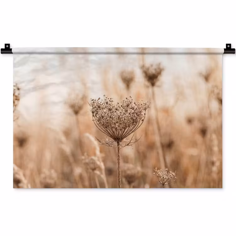 Wandkleed - Schermbloem - Droogbloem - Winter - Beige - Minimalistisch