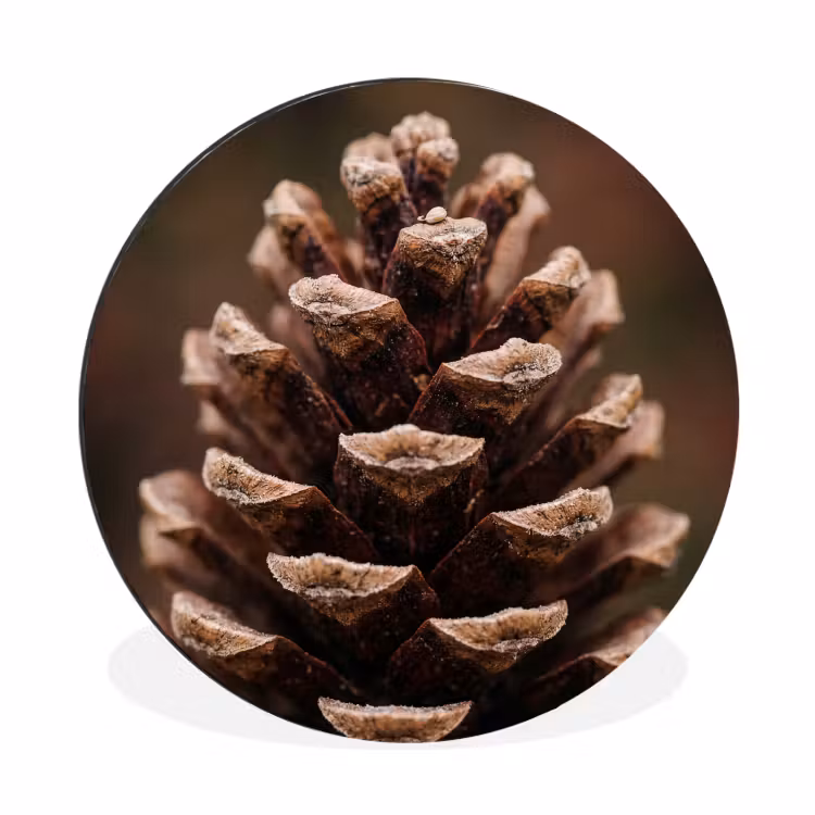 Wandcirkel - Aluminium - Dennenappel - Bos - Herfst - Bruin - Sfeervol