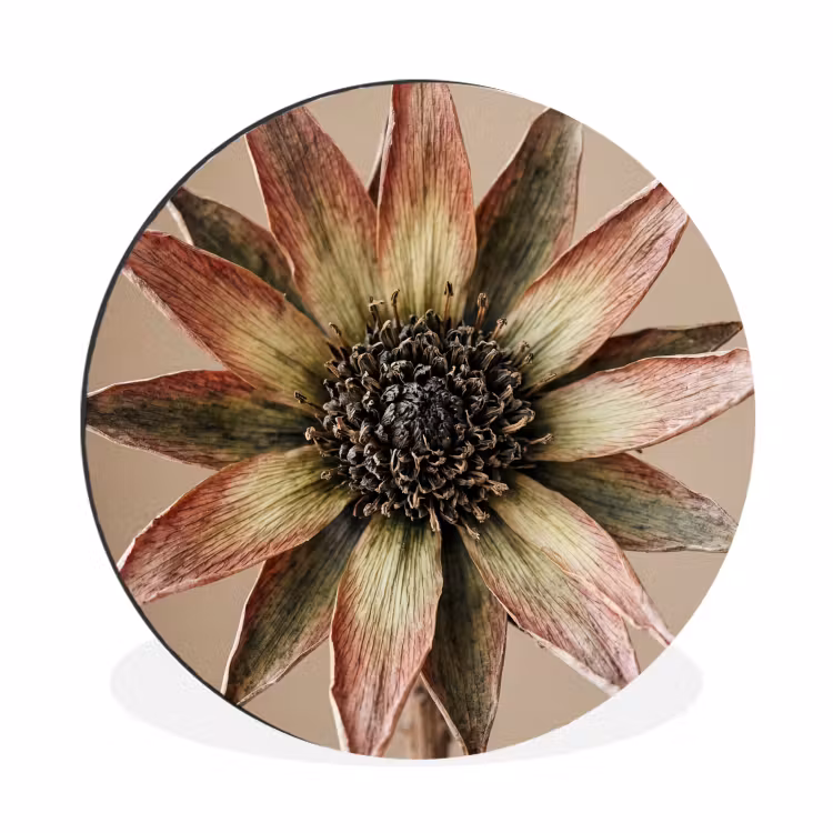 Wandcirkel - Aluminium - Droogbloem - Protea - Vintage - Beige - Rustiek