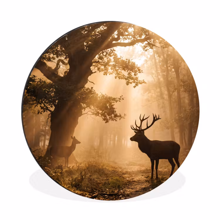 Wandcirkel - Aluminium - Hert - Bos - Mistig - Natuur - Goud