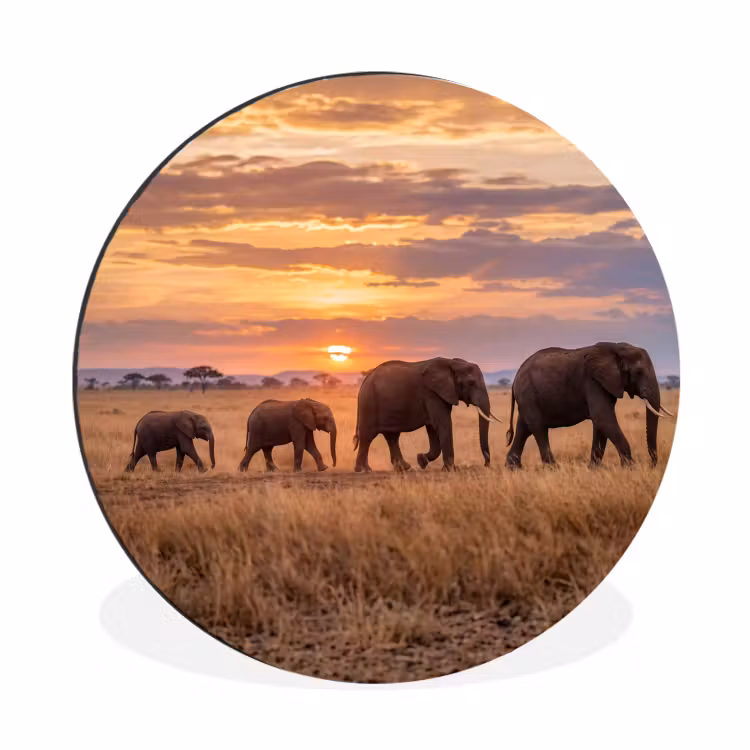 Wandcirkel - Aluminium - Olifanten - Savanne - Zonsondergang - Afrika - Warm