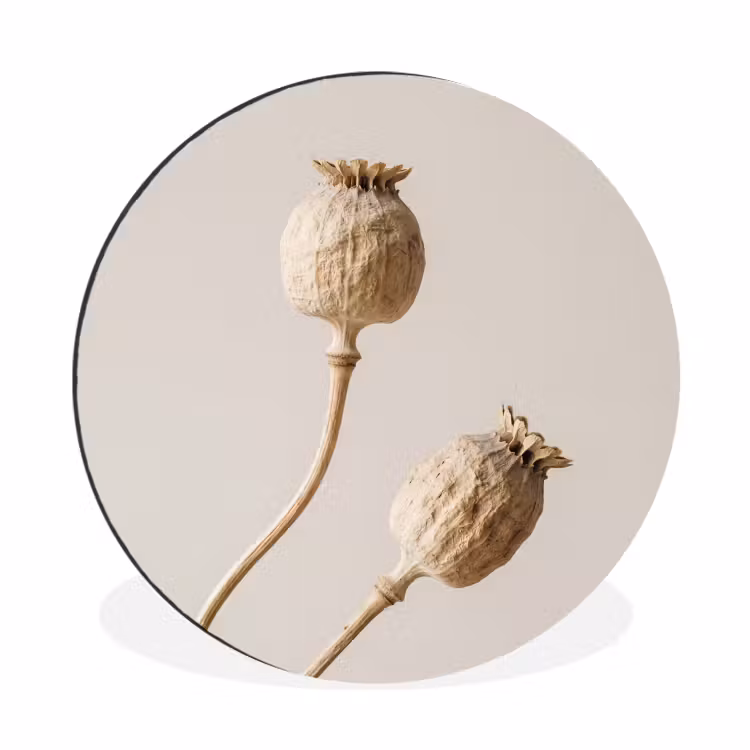 Wandcirkel - Aluminium - Papaverbollen - Droogbloemen - Minimalistisch - Beige - Rustig