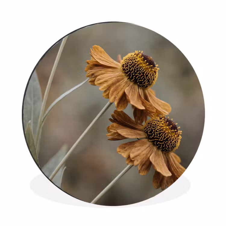 Wandcirkel - Aluminium - Zonnehoed - Droogbloemen - Geel - Warm
