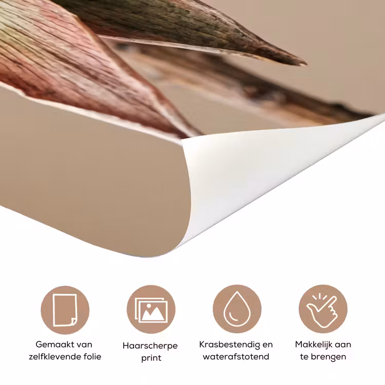 Deursticker - Droogbloem - Protea - Vintage - Beige - Rustiek — 3