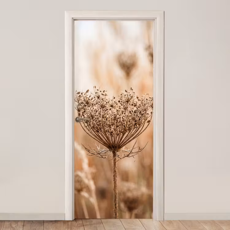 Deursticker - Schermbloem - Droogbloem - Winter - Beige - Minimalistisch