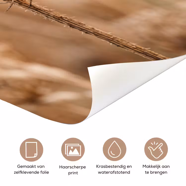 Deursticker - Schermbloem - Droogbloem - Winter - Beige - Minimalistisch — 3