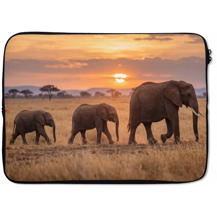 Laptophoes - Olifanten - Savanne - Zonsondergang - Afrika - Warm