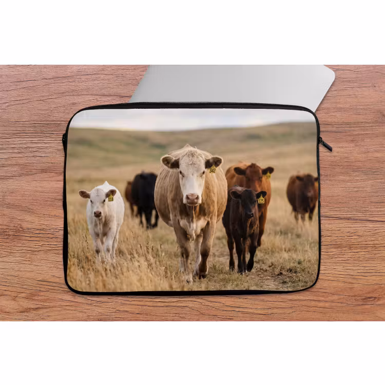 Laptophoes - Runderen - Kudde - Landschap - Weide - Rustig — 2