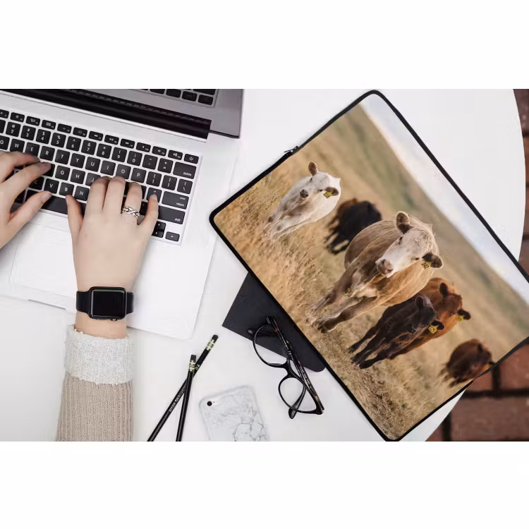 Laptophoes - Runderen - Kudde - Landschap - Weide - Rustig — 3