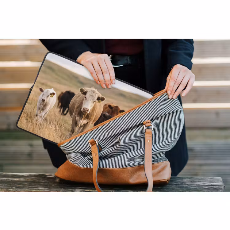 Laptophoes - Runderen - Kudde - Landschap - Weide - Rustig — 4