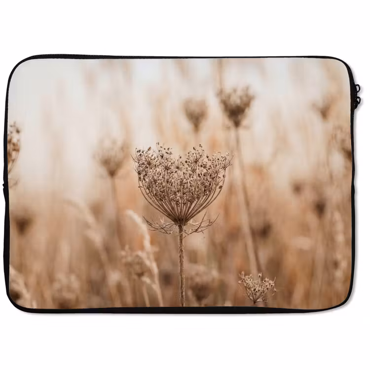 Laptophoes - Schermbloem - Droogbloem - Winter - Beige - Minimalistisch