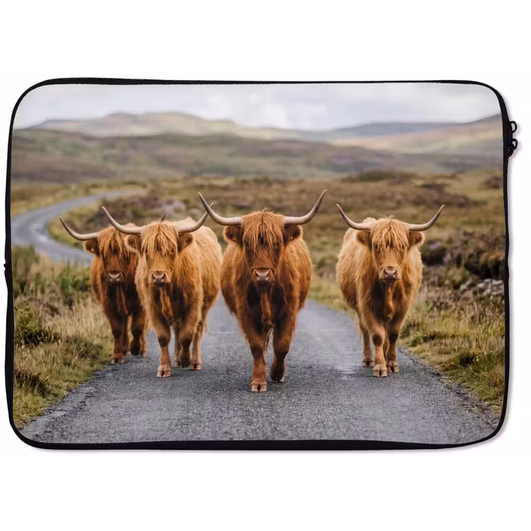 Laptophoes - Schotse Hooglanders - Weg - Landschap - Kudde
