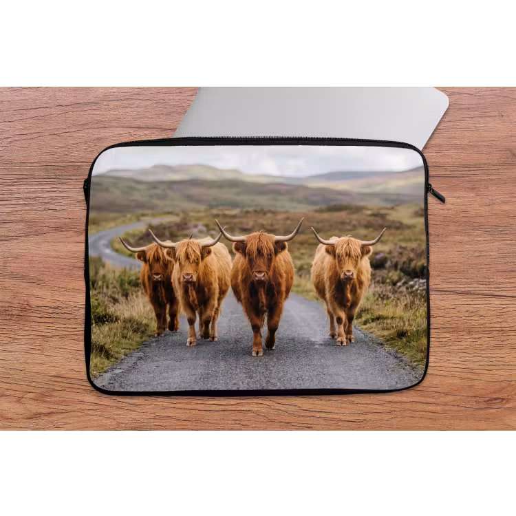Laptophoes - Schotse Hooglanders - Weg - Landschap - Kudde — 2