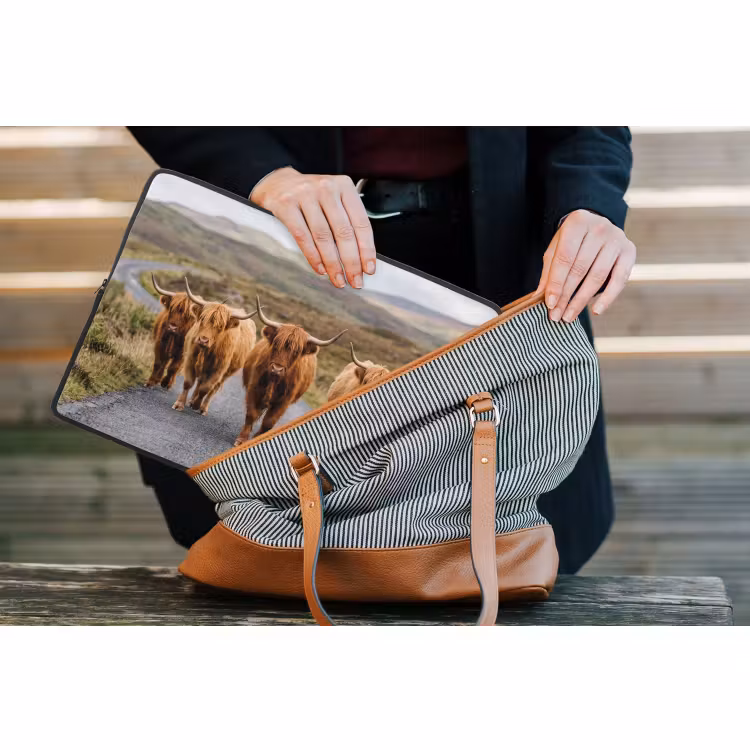Laptophoes - Schotse Hooglanders - Weg - Landschap - Kudde — 4