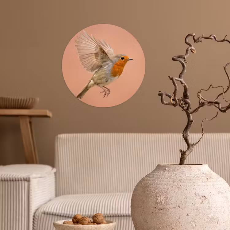 Behangcirkel - Roodborst - Natuur - Roze — 2
