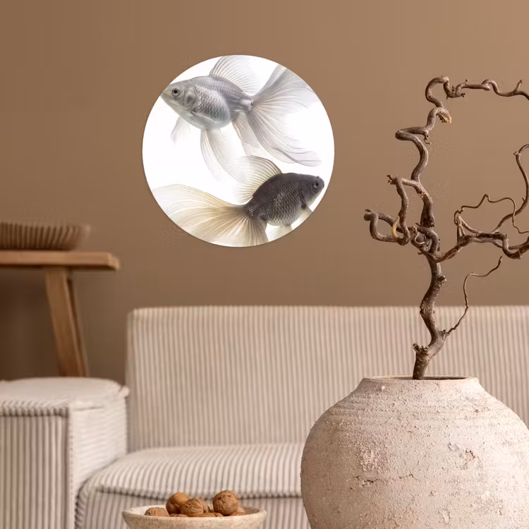 Behangcirkel - Goudvissen - Modern - Wit — 2
