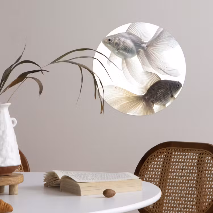 Behangcirkel - Goudvissen - Modern - Wit — 4