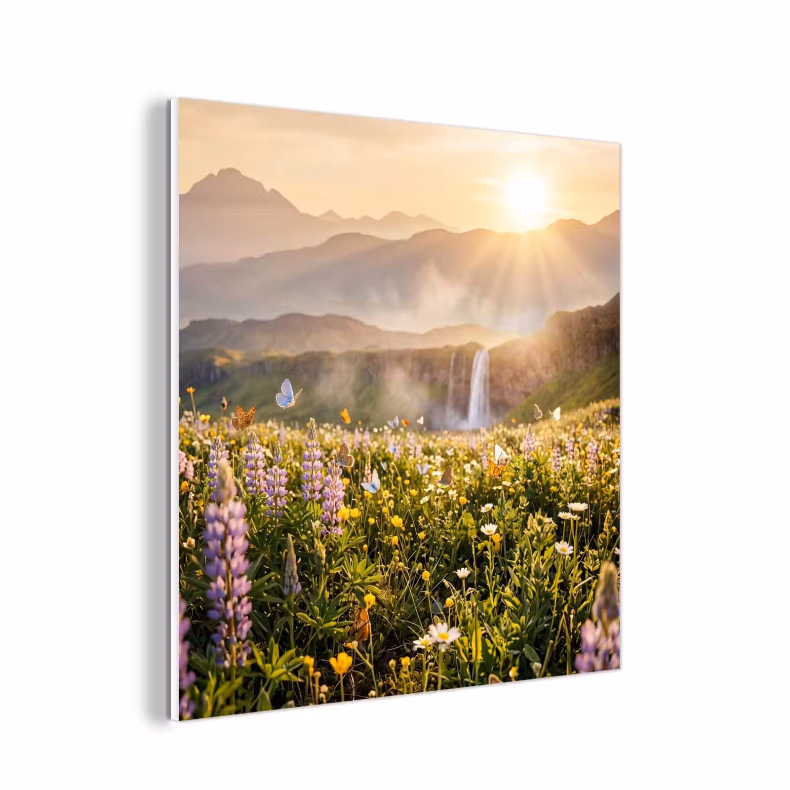 Forex - Vlinders - Waterval - Bloemenveld — 1