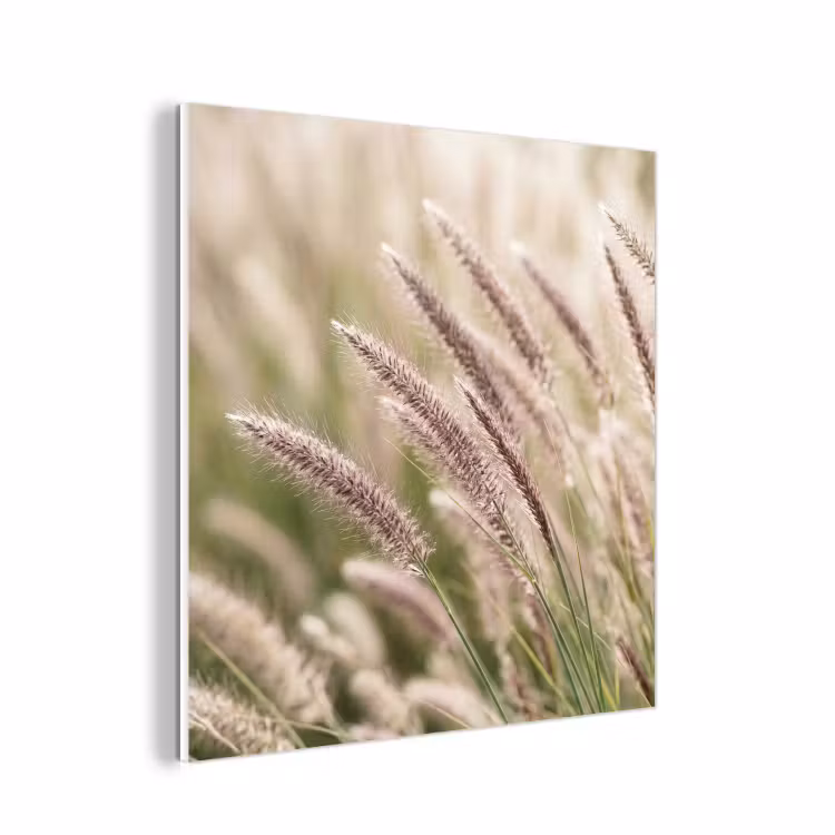 Forex - Gras - Close up - Groen — 1