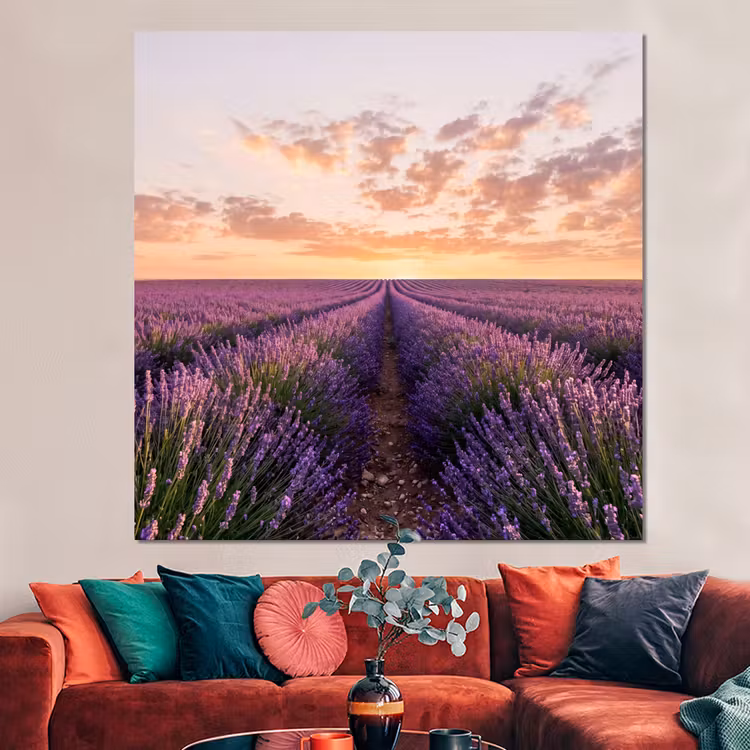 Forex - Landschap - Lavendelveld - Paars — 3