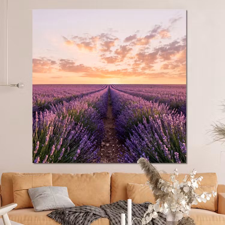 Forex - Landschap - Lavendelveld - Paars — 4