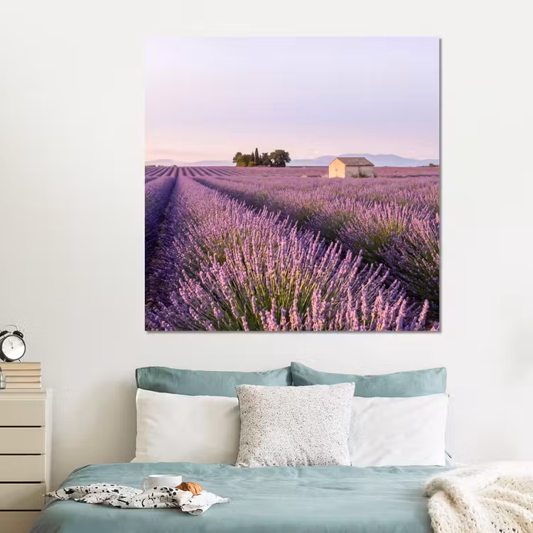 Forex - Lavendel - Landschap - Sereen - Paars — 2