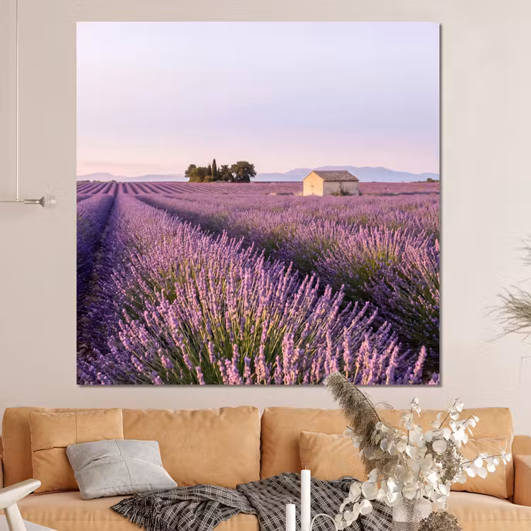 Forex - Lavendel - Landschap - Sereen - Paars — 4