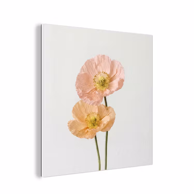 Forex - Papavers - Botanisch - Roze — 1