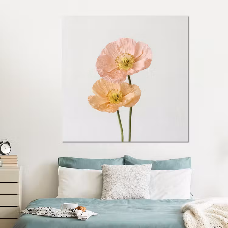 Forex - Papavers - Botanisch - Roze — 2
