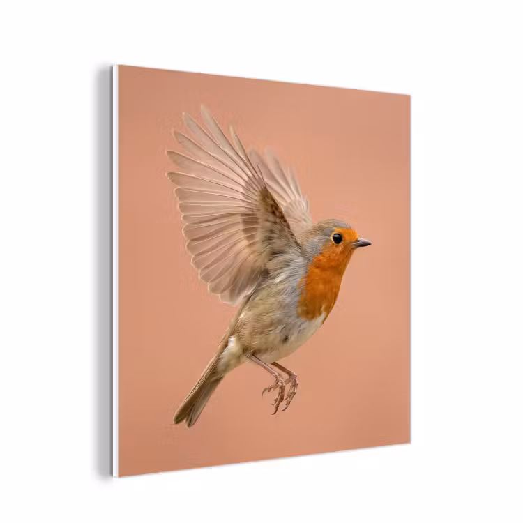 Forex - Roodborst - Natuur - Roze — 1