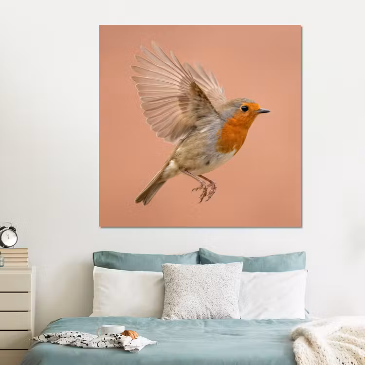 Forex - Roodborst - Natuur - Roze — 2