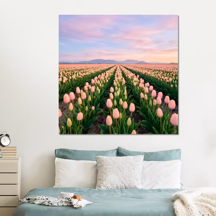 Forex - Tulpen - Landschap - Roze — 2