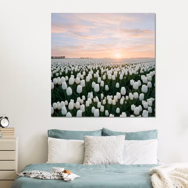 Forex - Tulpen - Landschap - Wit — 2