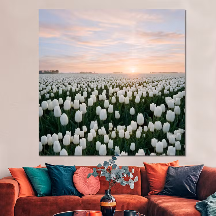Forex - Tulpen - Landschap - Wit — 3