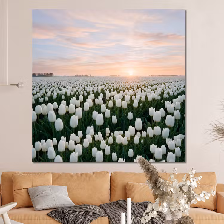 Forex - Tulpen - Landschap - Wit — 4